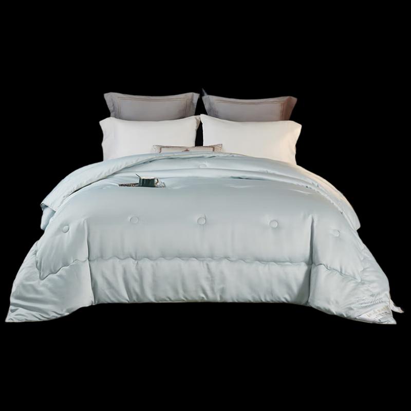 

Tangna Home Textiles German Velvet Winter Quilt