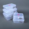 Commercial Transparent Food Storage Box