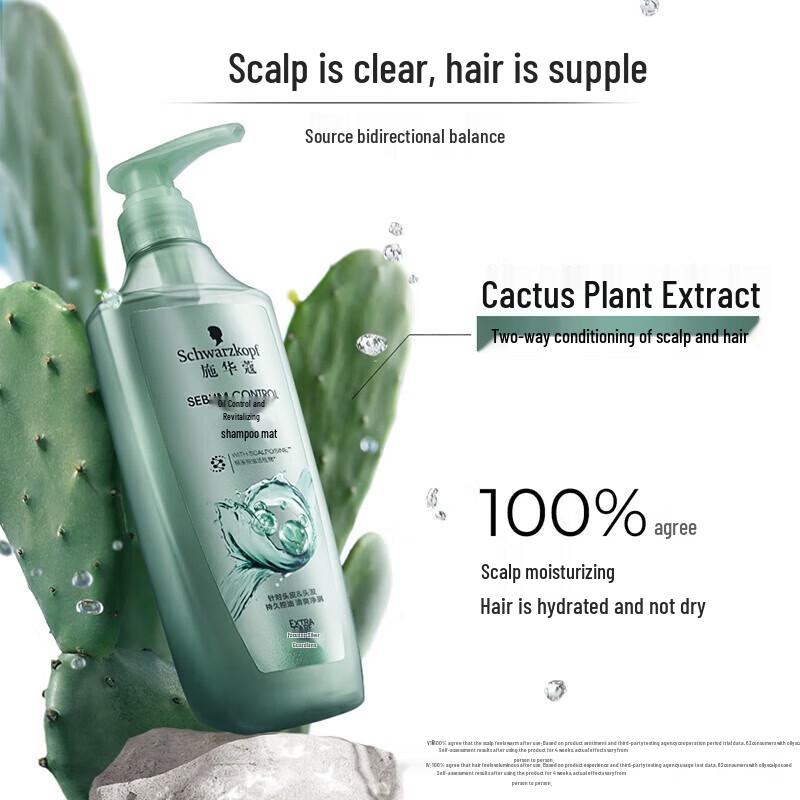 Schwarzkopf Oil Control & Anti-Dandruff Shampoo & Conditioner Set