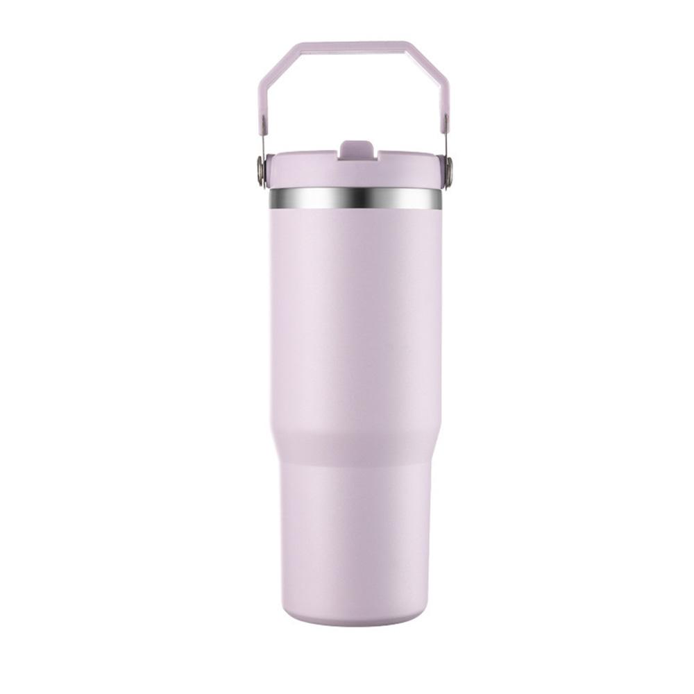 Leakproof Insulated Cup 30oz Large Capacity Water Bottle with Handle/Straw Colorful Tumbler Gift for Travel Car Office Workout