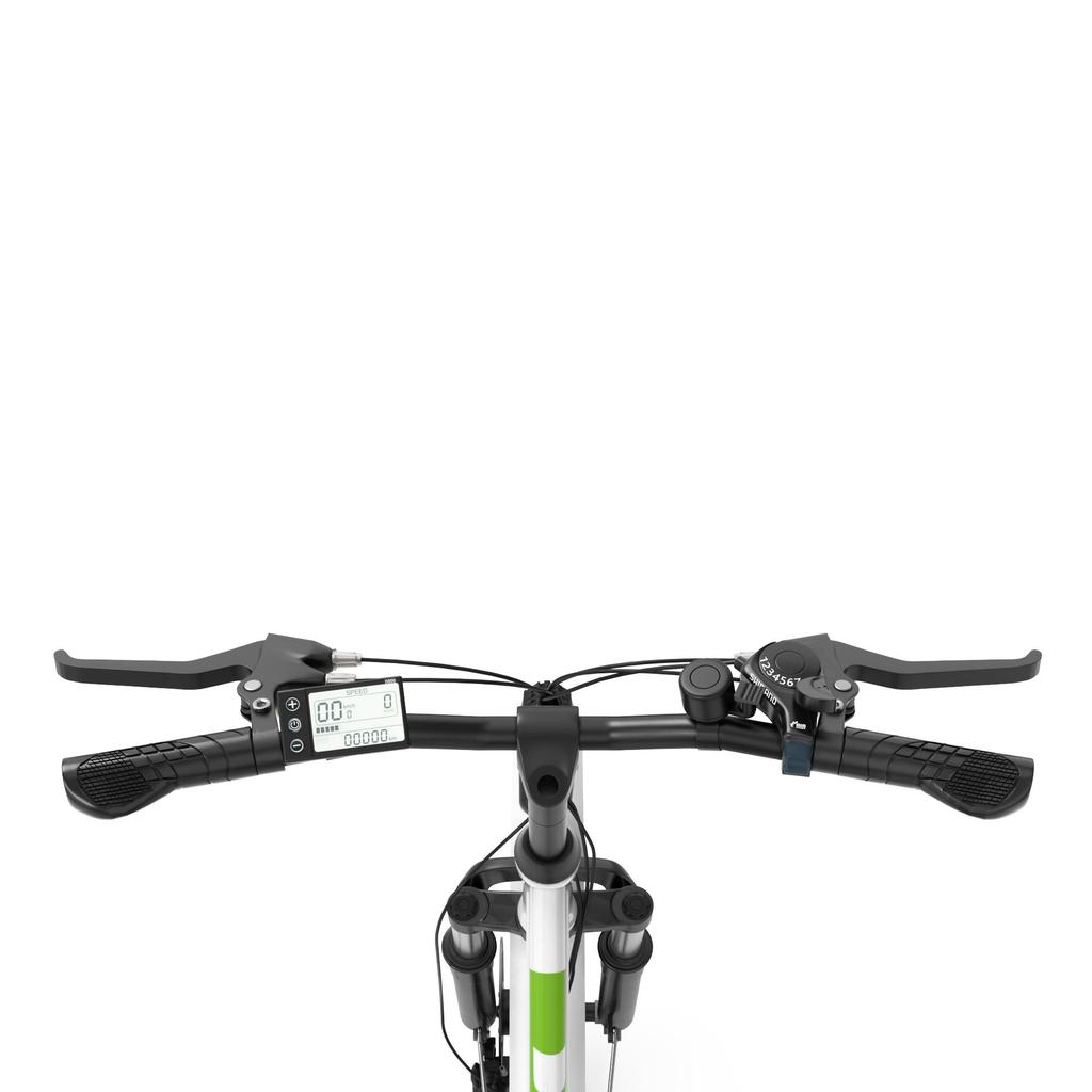 WITAMBIKE C26 PRO Adult Urban Electric Bicycle, 250W Motor, 36V 20Ah Battery, Mechanical Disc Brakes, 26-inch Wide Urban Tires, Max Load 120kg