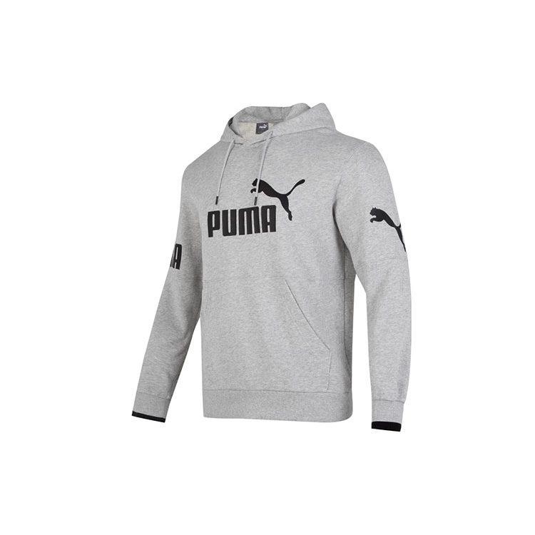 PUMA Sweatshirts Men's Gray Hooded Moderate Regular 676667-04