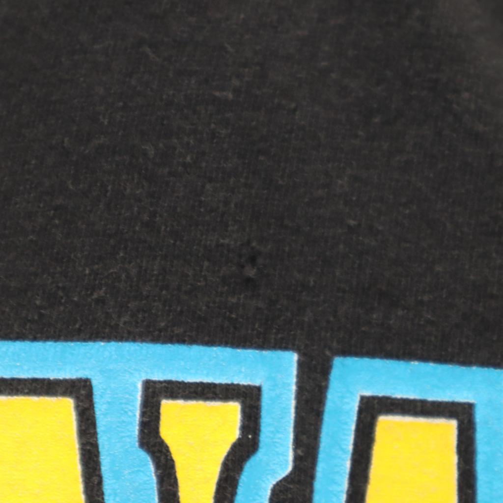 GILDAN 90s Made in USA Old Daytona Short sleeve T-shirt L black Men's Used