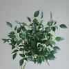 Simulierte Grüne Pflanzen Ficus Cordata Ast Künstliche Grünpflanzen Pflegeleicht Realistische Seidenblätter Haus Garten Event Dekoration