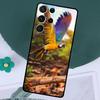 Animal Parrot Birds Case For Samsung Galaxy S24 S23 Ultra S22 Plus S20 S21 FE Note 20 10 S8 S9 S10 Plus Cover