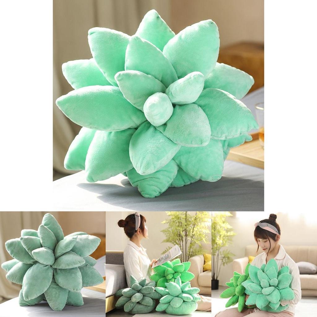 Cozy Plush Succulent Plant Stuff Toys Pillow For Adorable Home Decor And Gifts