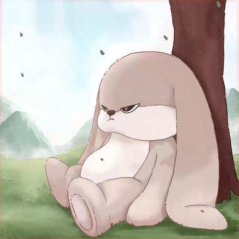 Adorable Diudiu Rabbit Plush Toy - Cuddly Bedtime Companion