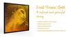 EVAH PIRAZZI GOLD Eva Pirazzi Gold Violin String E String (loop End)