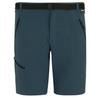 Шорты Xert Stretch Shorts Regular Night Sky Синий