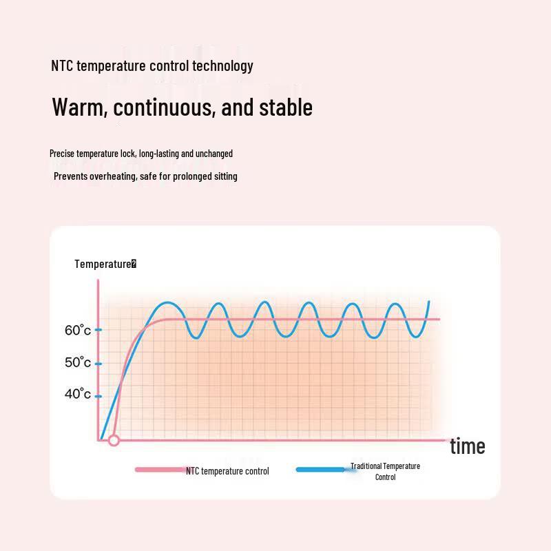 BKT Ergonomic Heated Lumbar Support Backrest Cushion