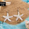 Simple color resin starfish scallop earrings cute color fish, ocean series earrings earrings women
