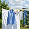24PCS Plastic Drying Sheets Clips Windproof Multi-Purpose Quilt Clips Thicken Non-Slip Socks Fasteners Balcony
