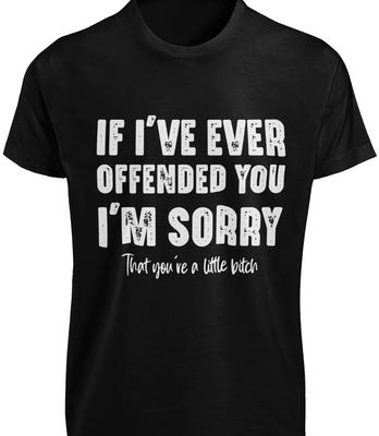 Wenn ich dich jemals beleidigt habe, tut es mir leid, du kleine Schlampe T-SHIRT Beleidigender Witz TEE