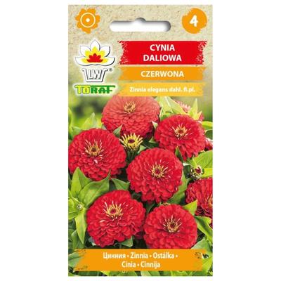 Dahlia Cynia Red 1G