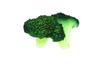 Speed Mao Realistic Broccoli Food Sample Set of 6 Models,