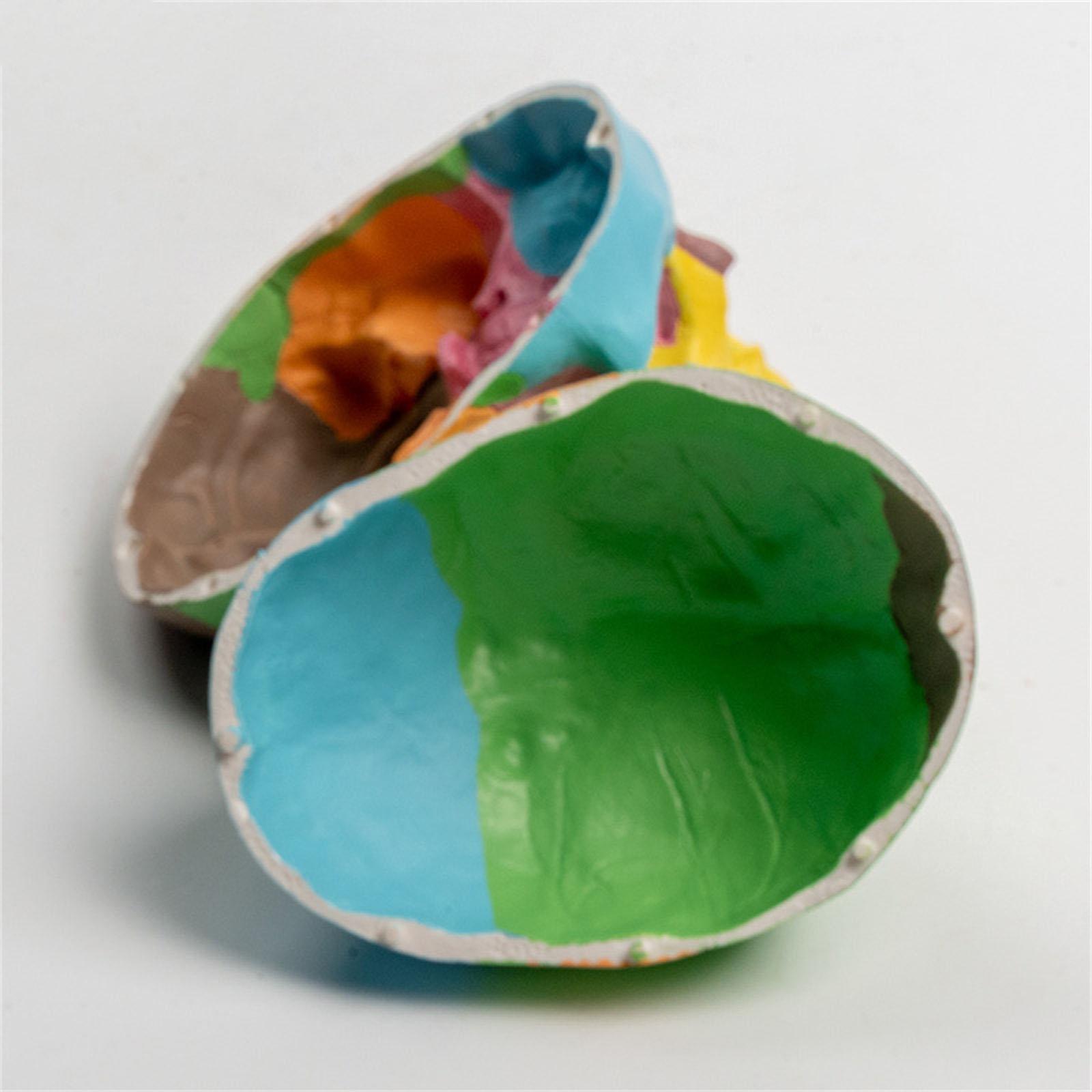 Анатомическая разобранная цветная модель черепа человека — фото 7