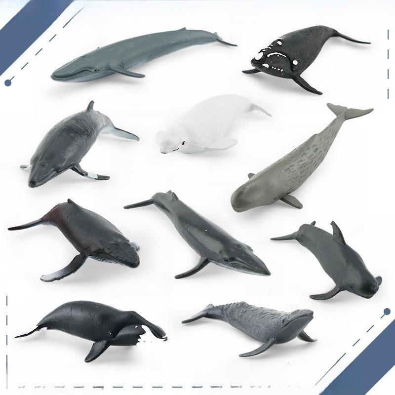 Meereslebewesen Beluga Wal Und Wal Nachbildung Modell Set PVC Spielzeug Für Aquarium Dekoration