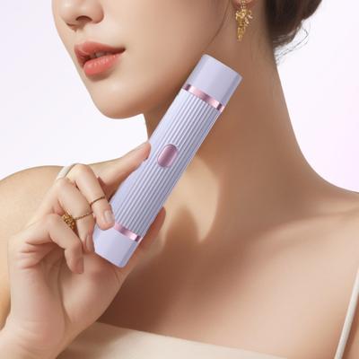 Rasoio Elettrico da Donna Doppia Testina Ricaricabile USB Impermeabile Portatile Viso Corpo Zona Bikini Braccio Gamba Epilatore Rimuovi Peli Rasoio Regolabarba
