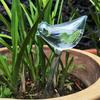1 bird shaped transparent watering stake, 1 automatic watering device, used for watering plants, suitable for home gardening