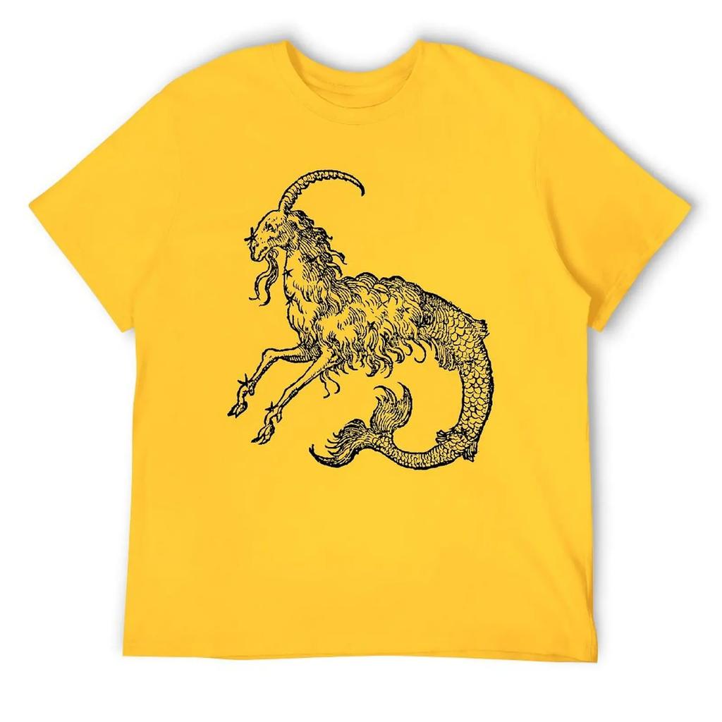 Capricorn Twelve Constellation (4) T-shirt Harajuku Move Tshirt Vintage Home Funny Novelty USA Size