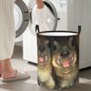 Rock Hyrax Funny Meme Folding Laundry Baskets Dirty Clothes Toys Storage Basket Home Organizer Box