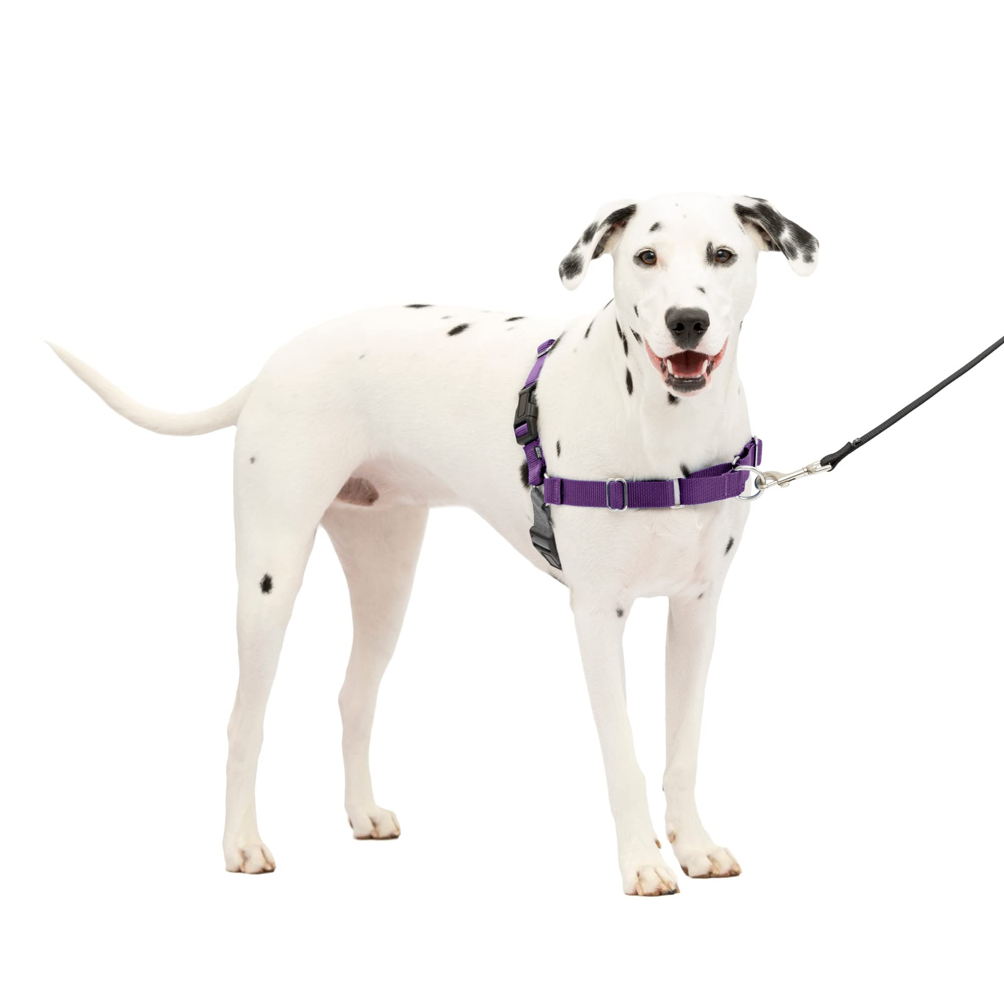 

Шлейка PetSafe Easy Walk темно-фиолетовая (ML, и черный)