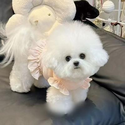 Dog Clothes Spring Summer Autumn New Waffle Small Flower Flying Sleeve Skirt Pet Cat Cuter Than Bear Teddy