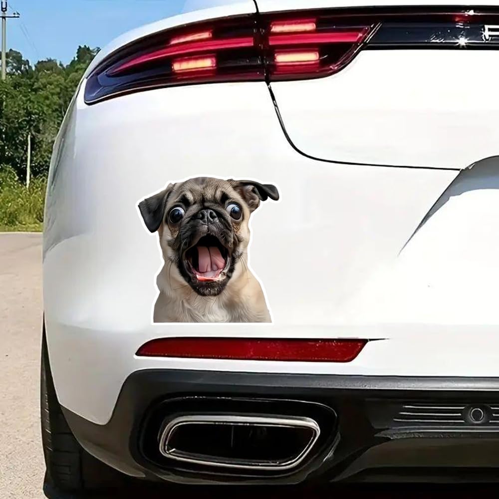 2 Pack 12.5x13cm Funny Pug Vinyl Stickers - Great for Cars, Trucks, Laptops and