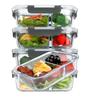 ZISIZ 3-Compartment Glass Lunch Box Set