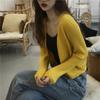 Autunno Csual Maglione cardigan lavorato a maglia con scollo a V Donna Inverno Moda Crop Maglioni Giacca manica lunga Cardigan casual Top 29761