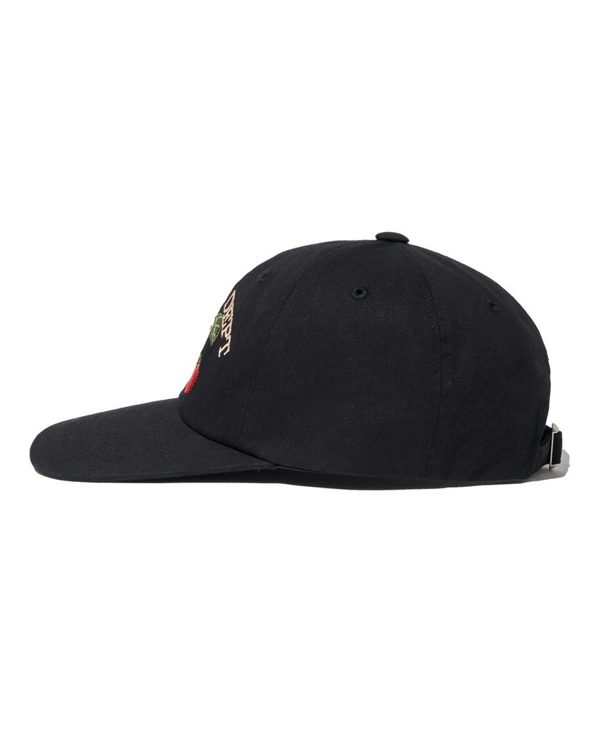 PHYSICAL DEPARTMENT Vintage Fruit Cap_Black