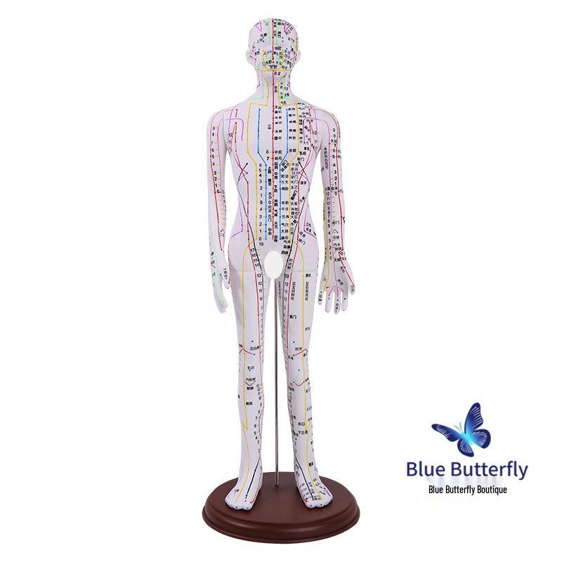 Ultra-Clear Silicone Model: Acupuncture & Meridians Teaching for Tuina Massage Practice