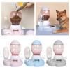 And Food Feeder Dispenser Automatic Dog Cats Drinking Bottles Feeding Bowl