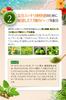 Herb Health Honpo Ao Morimori Slim Tropical Fruit Flavor Made In Kyushu Contains Young Barley Leaves and Lactic Acid Bacteria