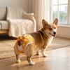 Verstellbare Hund-Hygienehosen Waschbare Hunde Menstruationshosen Haustier in Hitze