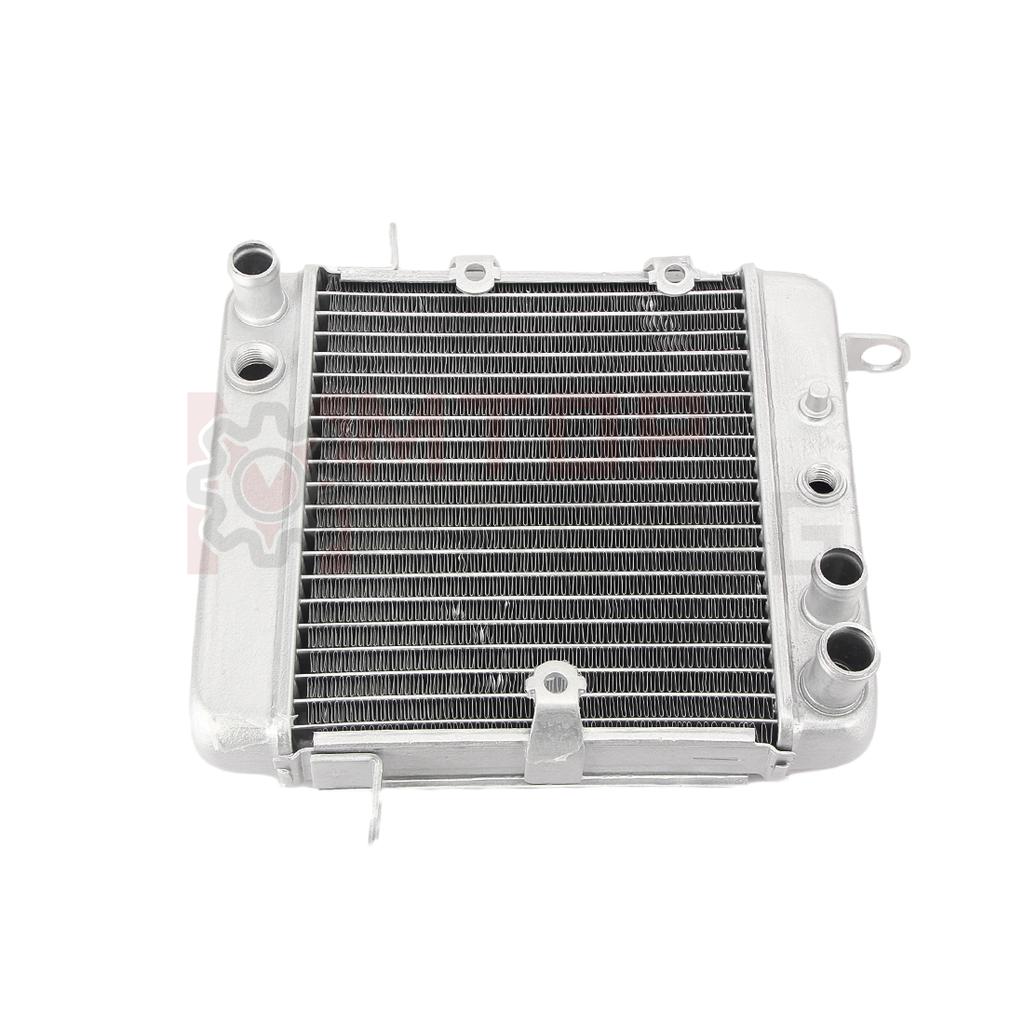 Motorcycle Aluminium Cooling Radiator Water Cooler For Honda PS250 Big Ruckus 2006 19010-KTB-003