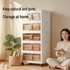 Foldable Rolling Magnetic Storage Cabinet