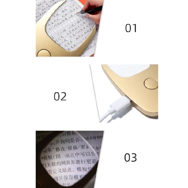 Keychain Magnifier with LED Light USB Rechargeable Magnifying Glass for Newspaper Reading Magnifying Lens Eye Loupe