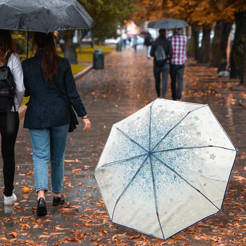 Clear Bladder Screen, Transparent Umbrella, Sweet, Light Women's Dome Foldable Umbrella for