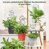 2x Black Small Metal Trellis For Pots Sturdy Support For Indoor Climbing Plants Indoor Plant Support
