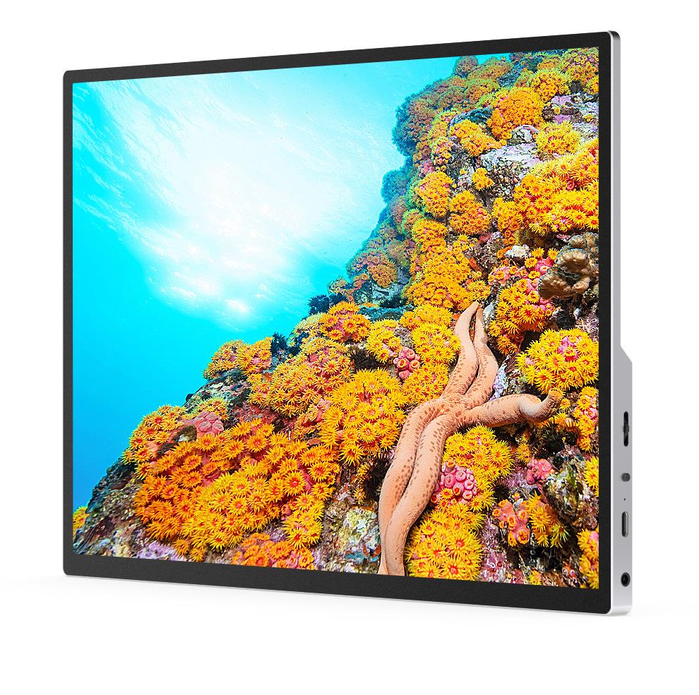 15.6-Inch HD Portable Type-C Display for Phone and Laptop Screen Extension