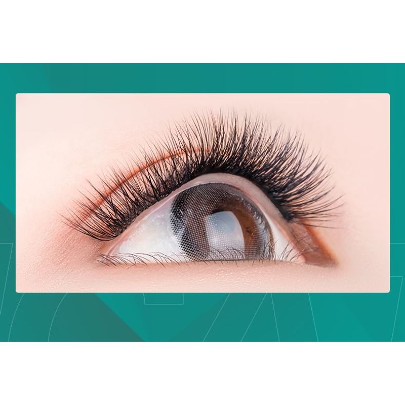 Bonnie Wisp - Natural Individual Multipack False Eyelashes (Various Designs)