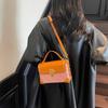 Crossbody bag light luxury niche high-end hand bag new popular shoulder bag fashionable versatile small square bag