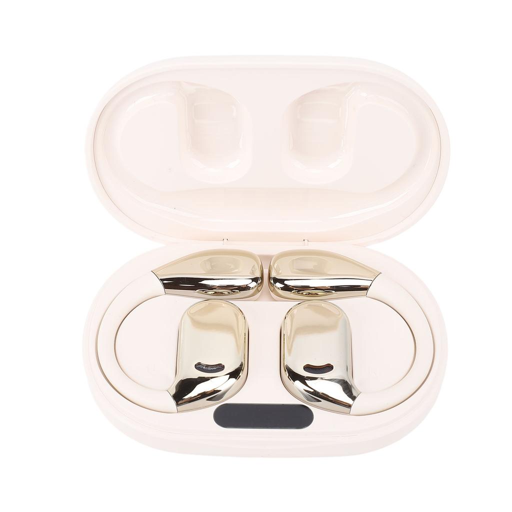 Smart Translation Earbuds Real Time Voice Wireless Hanging Ear Bluetooth Translation Earphones Noise Cancelling for Travel