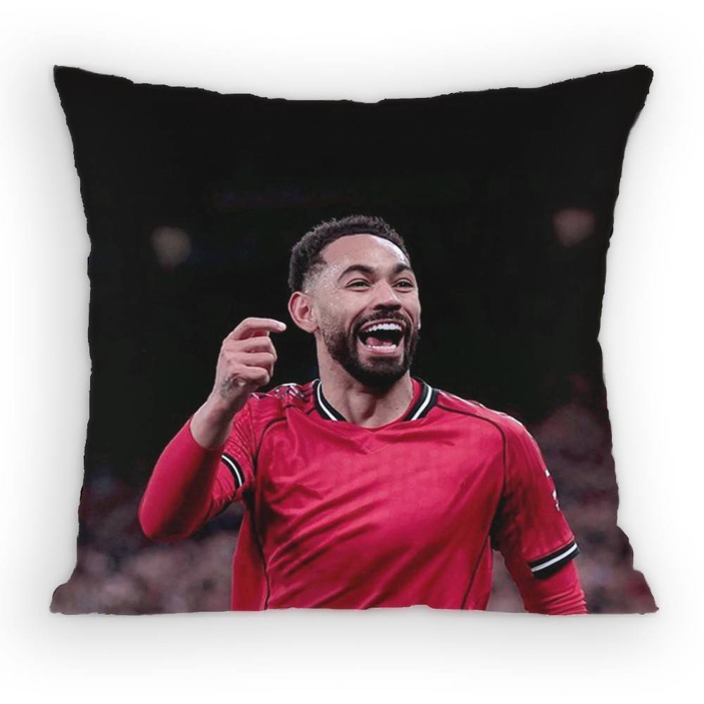 Matheus Cunha Pillow Case Antidustmite Pillowcase Invisible zipper silky Sofa cushion cover for bedroom 30x30 cm