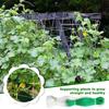 Durable Nylon Garden Climbing Net For Cucumber And Vegetables Heavy-Duty Support Easy To Install
