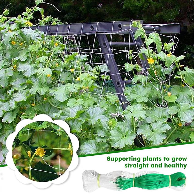 Durable Nylon Garden Climbing Net For Cucumber And Vegetables Heavy-Duty Support Easy To Install