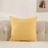 Plush Velvet Pillow Cover Premium Teddy Fleece Sofa Cushion Case Office Nap Pillow Seat Back Support Home Decor Throw Pillowcase