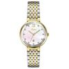 9589B Steel Belt Women'S Watch Calendar Fritillary Face Watch Women