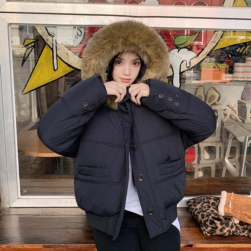 Seasonal down cotton-padded clothes women's loose cotton-padded clothes casual short big fur collar jacket
